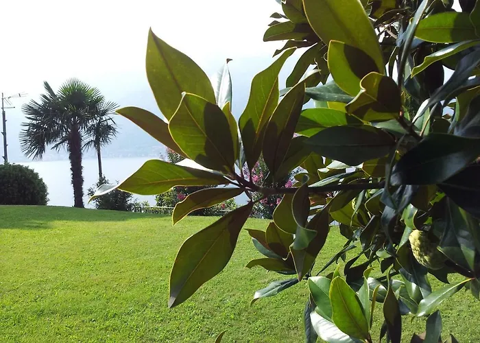 Vista Di By Villavistalago 贝拉诺