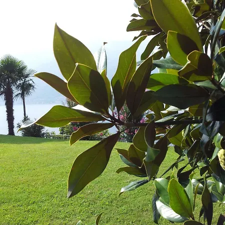 Vista Di By Villavistalago בלאנו